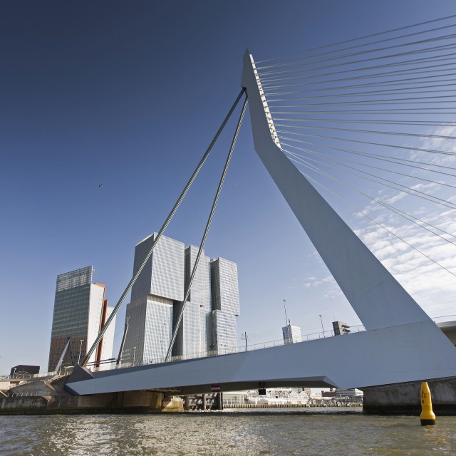 Erasmus bridge in Rotterdam, looking towards South Rotterdam (Kop van Zuid)