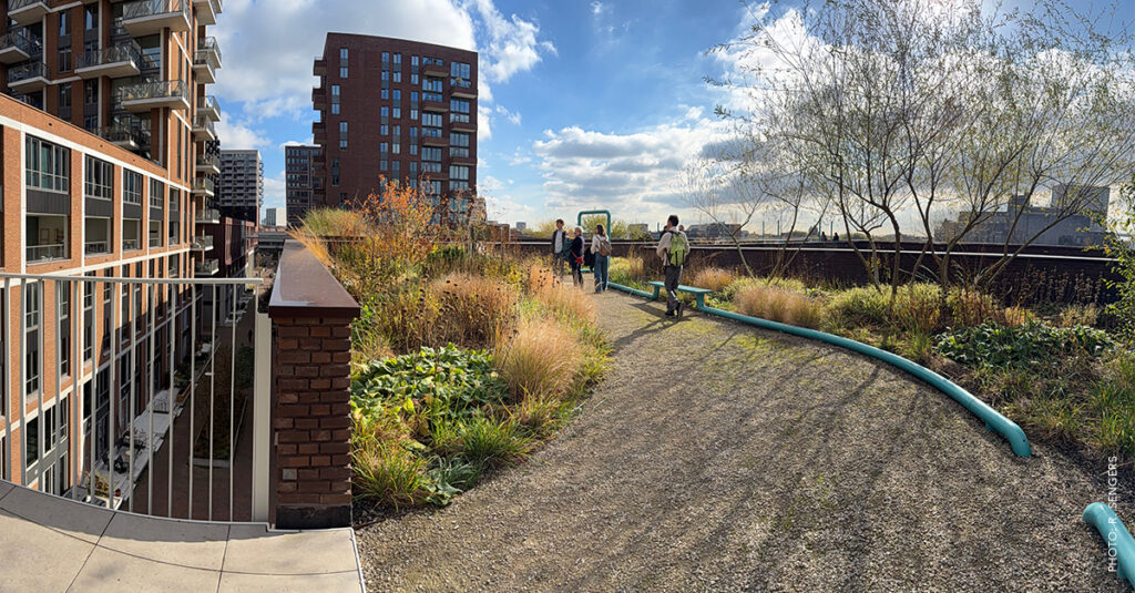Multi-functional green roofs and stormwater buffer at a set of interconnected buildings (Dakpark de Groene Kaap)