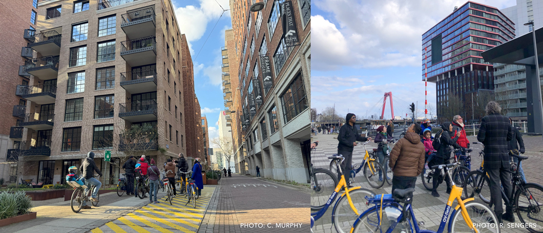 City tour by bike, given by a Rotterdam city planner to the Baltimore delegation in March 2025. Left: Photo of the group standing with their bikes in a street with apartment buildings in the development called 'Little C' while the city planner points out features of this development. Right: Photo of the group standing with their bikes, looking at new offices and residential buildings near the waterfront (the red Willemsbrug bridge is in the distance).
