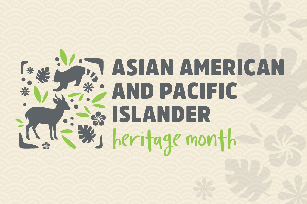 Illustration of animals and plants on a patterned background, with the words "Asian American and Pacific Islander heritage month" Image is from the Maryland Zoo's May 16, 2026 event.